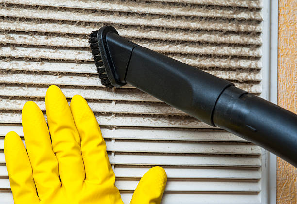 Best Local Air Duct Cleaning Services  in Shelbyvle, IL