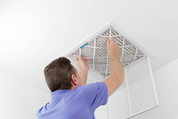 Best HVAC Duct Inspection Services  in Shelbyvle, IL